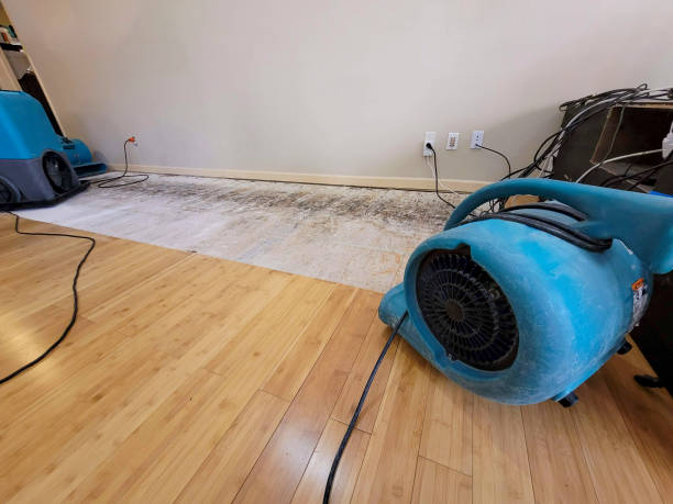 Professional Water Damage Repair technician working in Martinsburg, PA